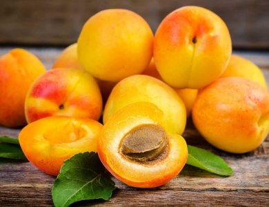 Apricot