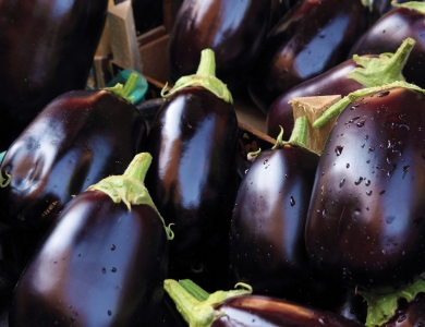 Eggplant