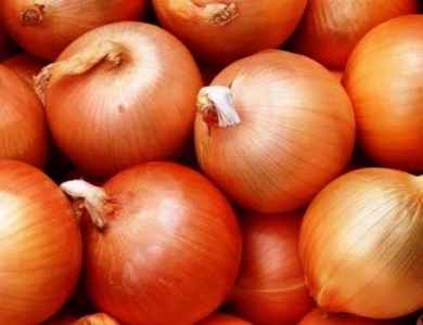 Onion