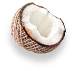 page-content-coconut-left